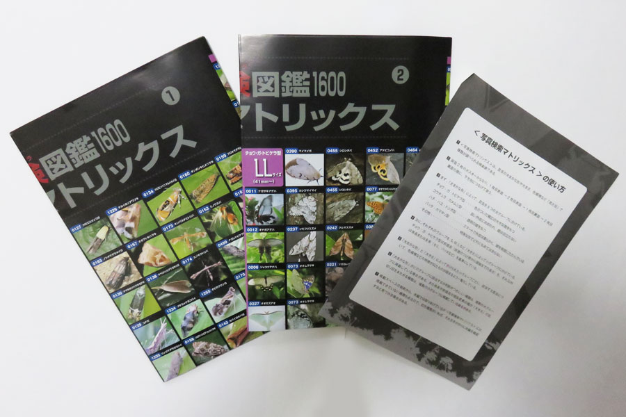 プチリタ ホームスタディコース 石井貴士