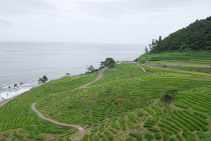 a0031714_2358158.jpg