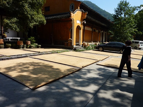 32.天台山国清寺 天台宗の祖庭 : 日本じゃ無名？の取って置きの