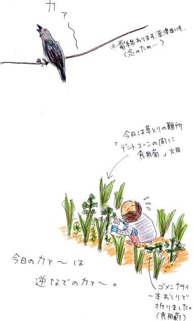 b0015222_1551152.gif