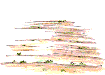 b0015222_1552686.gif
