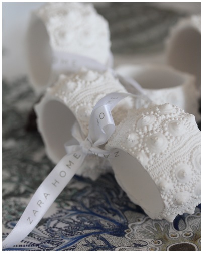 ZARA HOME_c0141025_281574.jpg