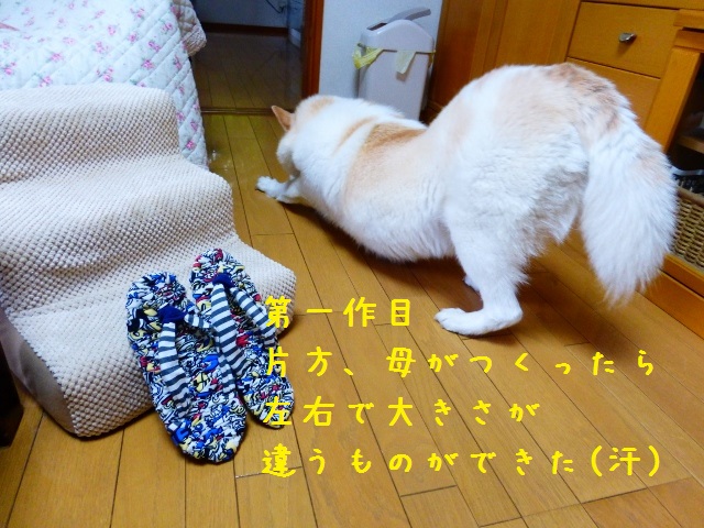 b0138430_10473384.jpg