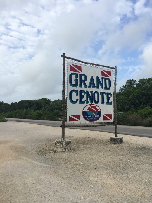 Gran Cenote グランセノーテ_b0129832_017396.jpg