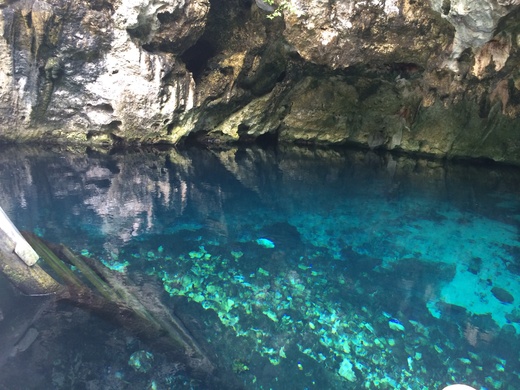 Gran Cenote グランセノーテ_b0129832_0192678.jpg