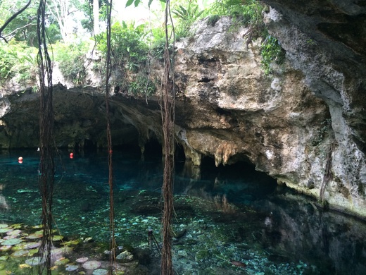 Gran Cenote グランセノーテ_b0129832_022891.jpg