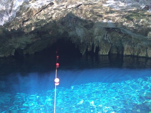 Gran Cenote グランセノーテ_b0129832_0243722.jpg