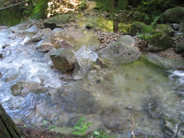 久し振りに晴れる　昭和の森から宝満山～頭巾山周回_c0077338_1711232.jpg