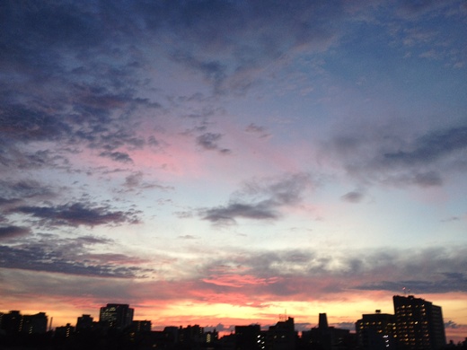 悲しき雨に、合掌_a0271541_084432.jpg