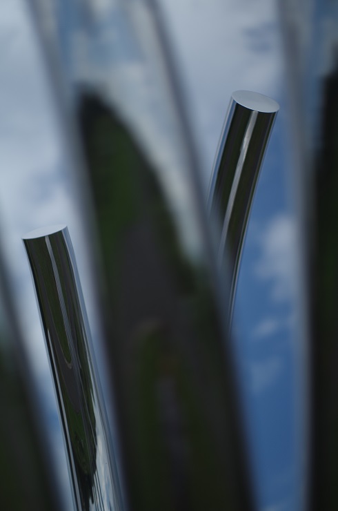 d0165741_20562986.jpg