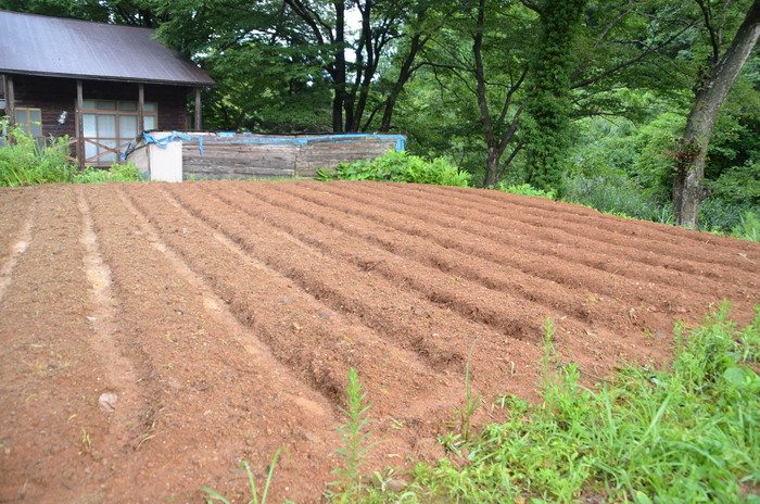 c0202242_8572971.jpg