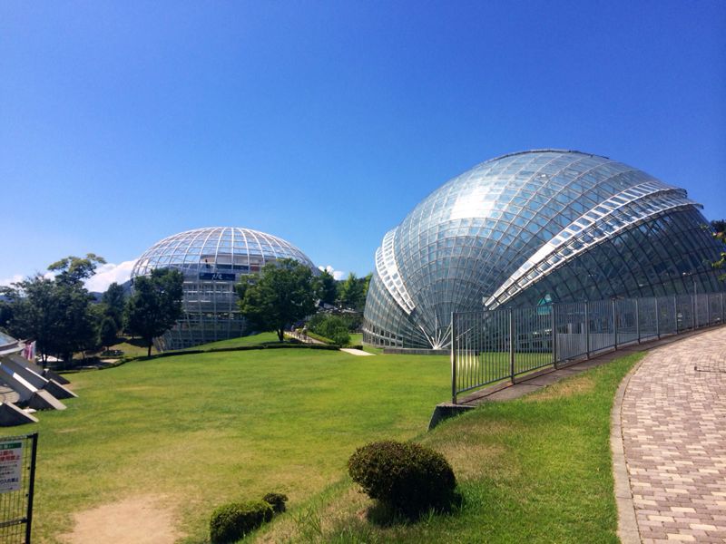 山梨県笛吹川フルーツ公園 ☆_c0151965_13201682.jpg