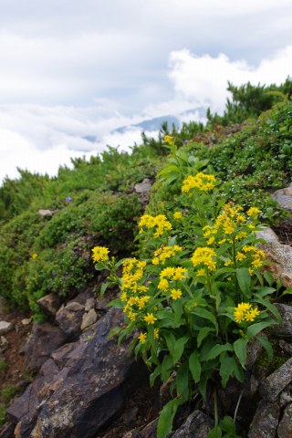 e0045768_21443010.jpg