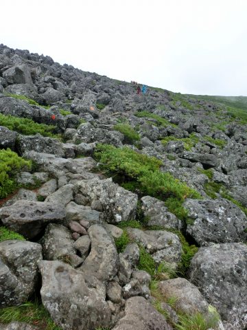 e0045768_21542177.jpg