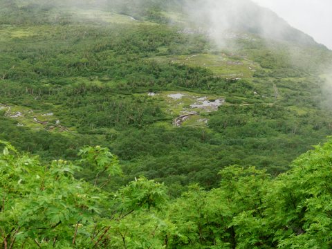 e0045768_2274740.jpg