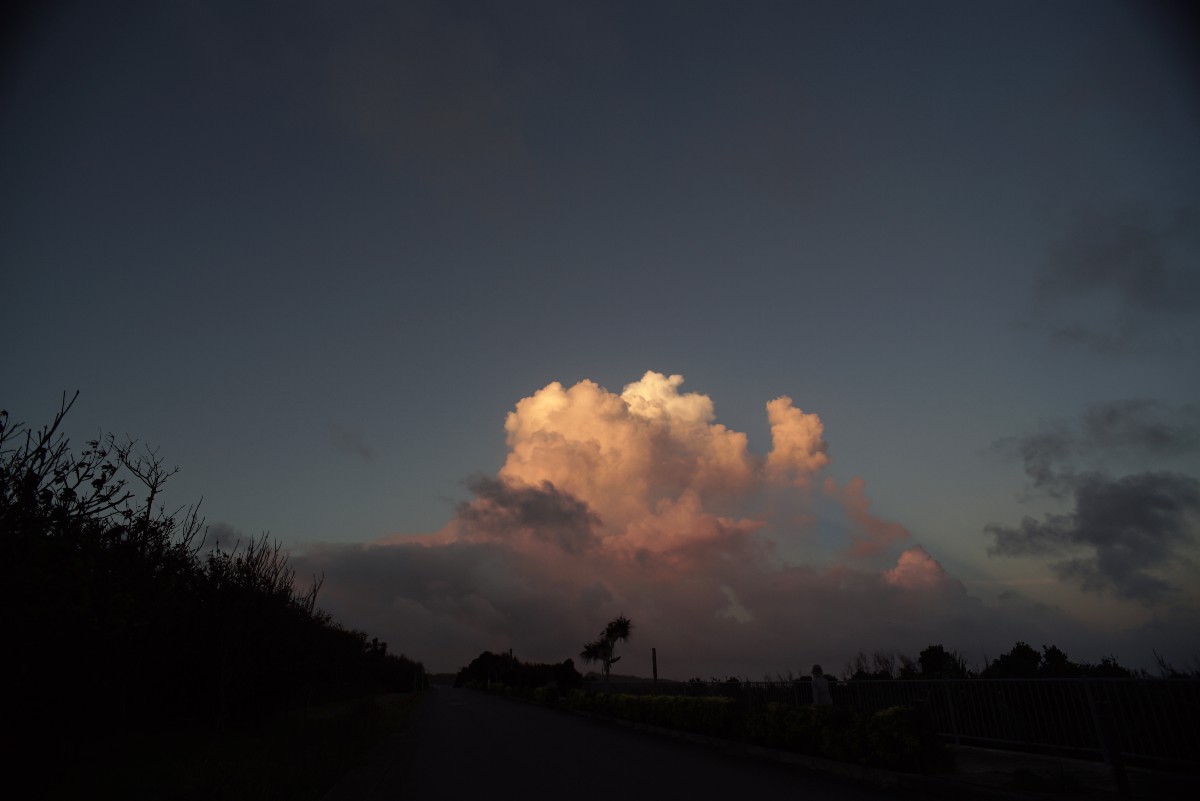 a0095470_20425410.jpg