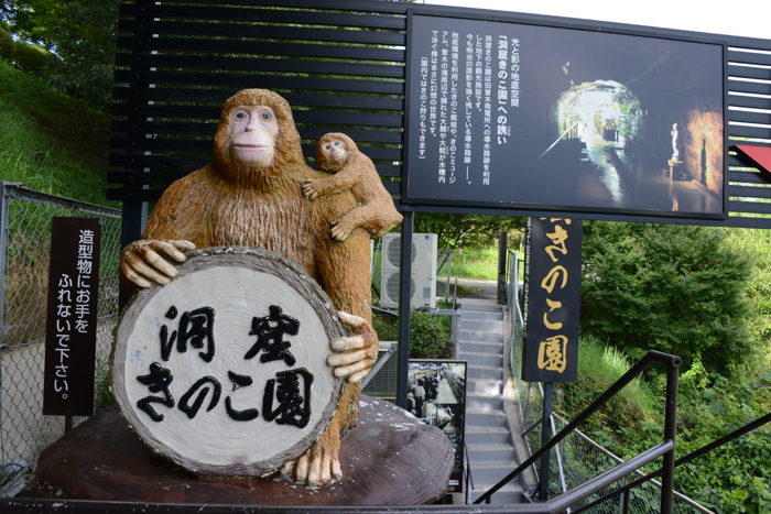 鹿児島の珍スポット。洞窟きのこ園_e0171573_18423051.jpg