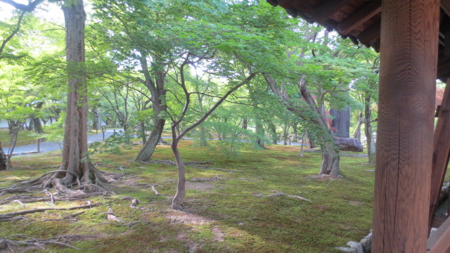 e0212073_8104217.jpg