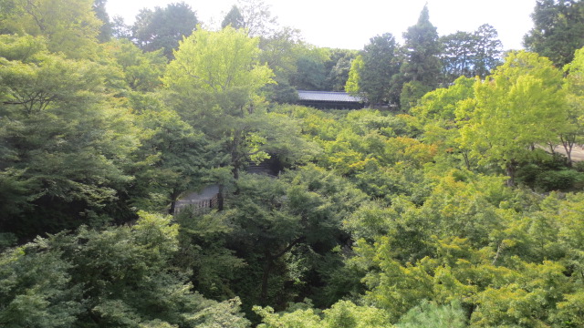 e0212073_811409.jpg