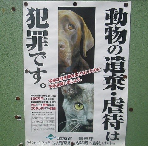猫の不審死は大田区だけではない 本音トーク パート２ スポーツ観戦記事など