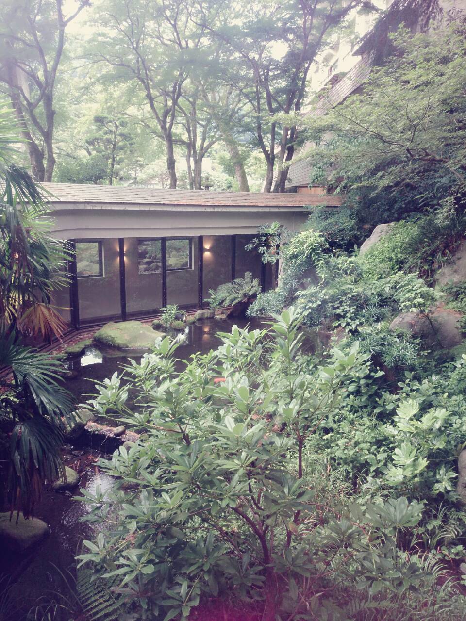 f0193680_0432512.jpg
