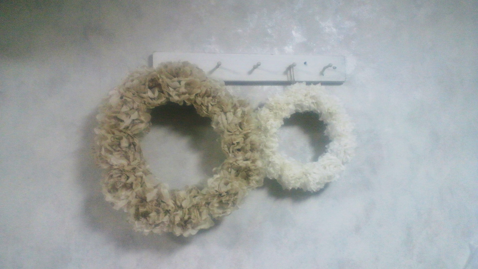 b0189989_1138591.jpg