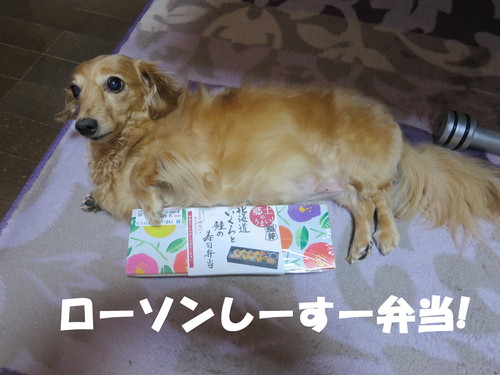 いくらなんでも暑過ぎる！_b0200291_0501810.jpg
