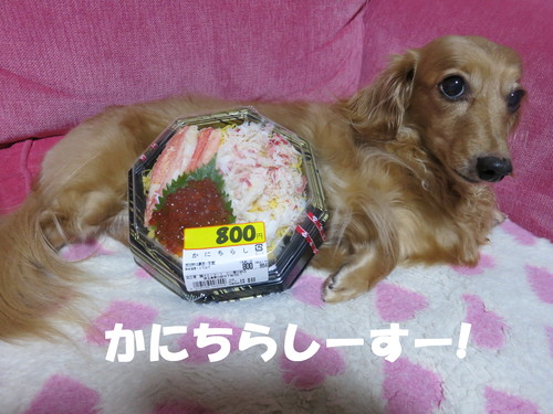 いくらなんでも暑過ぎる！_b0200291_055820.jpg