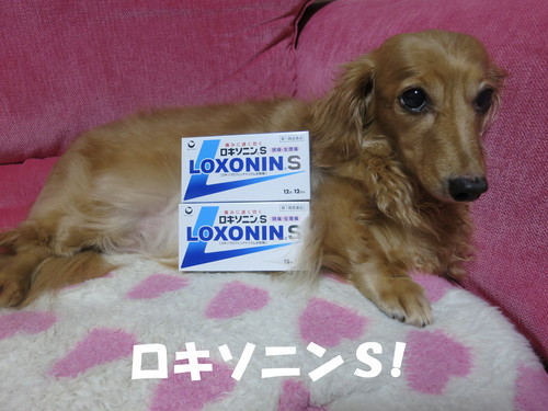 突然！涼しくなったったｗｗｗ_b0200291_2312492.jpg