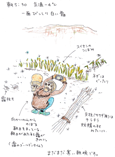 f0236291_14562167.gif