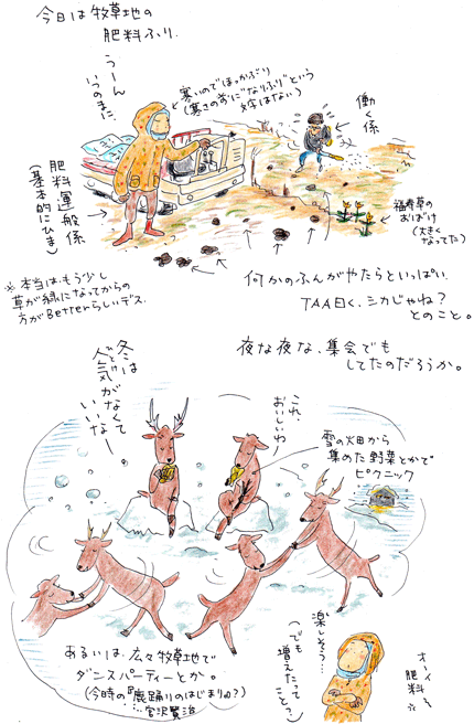 f0236291_1503743.gif