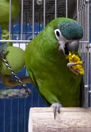 a0086994_144437.jpg