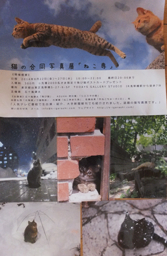 猫の写真展へと　GO、_c0204801_21252450.gif