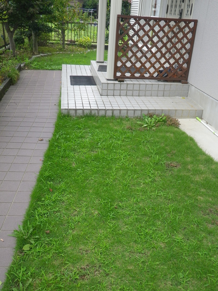 b0137704_16355950.jpg