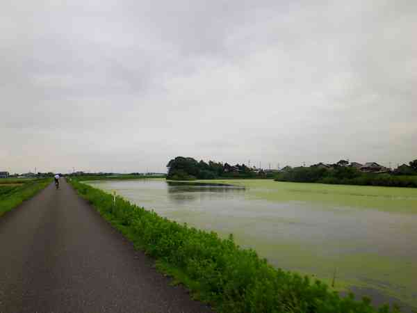 ひもの食堂と綾小町_b0000209_22224610.jpg