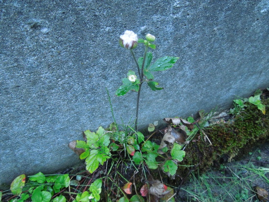 f0297809_22194339.jpg