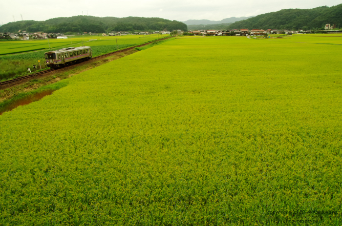 実りの季節へと_d0309612_2354475.jpg