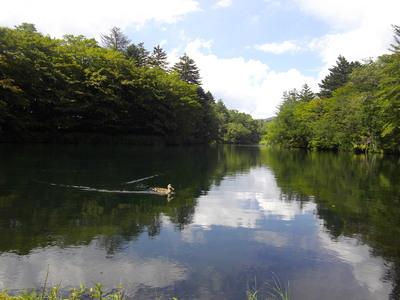 e0239312_2344757.jpg