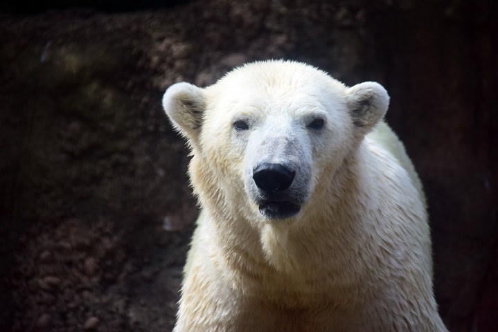 a0151913_22472785.jpg