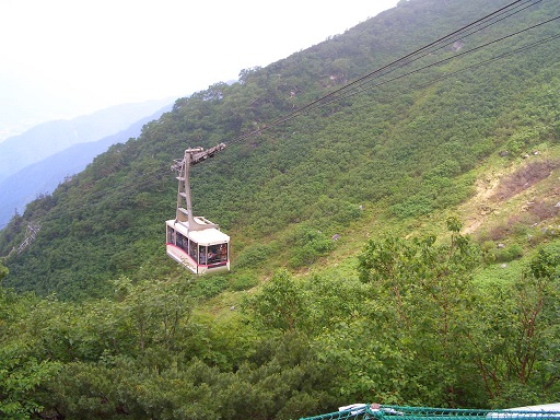 b0146813_1020941.jpg