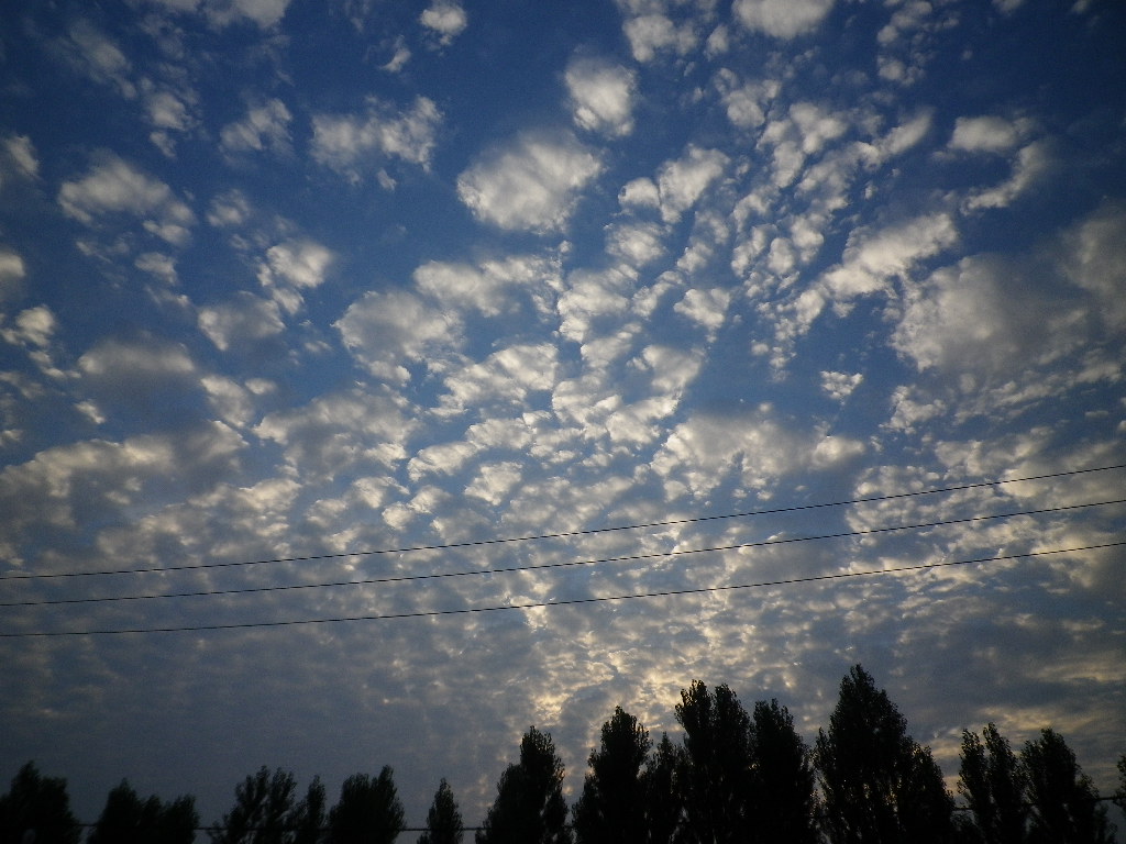 e0052716_10423137.jpg