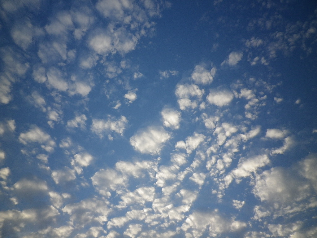e0052716_10424984.jpg