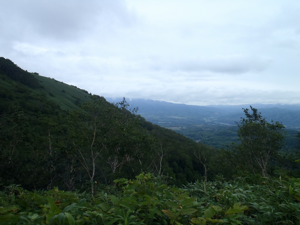 e0171018_17221677.jpg