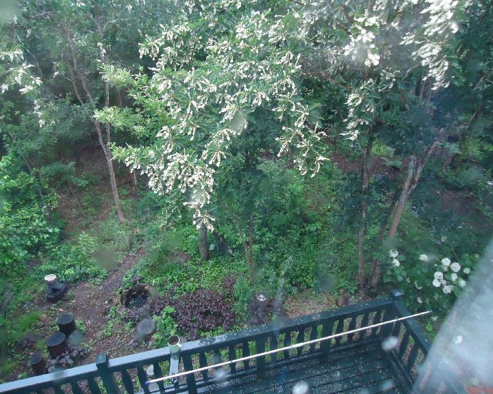 b0248920_1211636.jpg