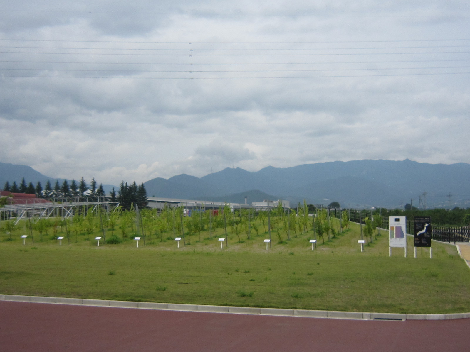 d0162225_1146723.jpg
