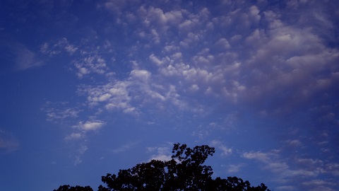 e0311225_9311030.jpg