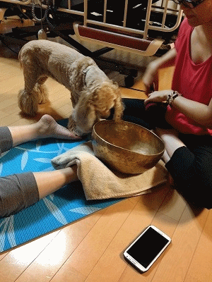 f0326925_12575778.gif