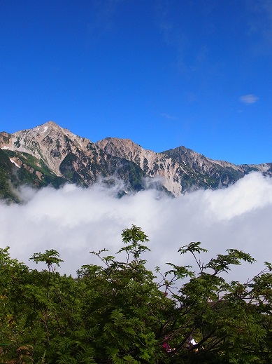 c0225927_949251.jpg