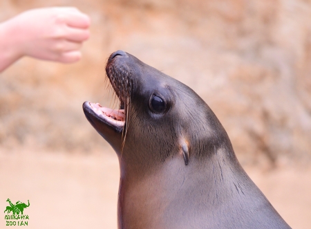 みんなの大切なビター♂_a0230833_1014227.jpg