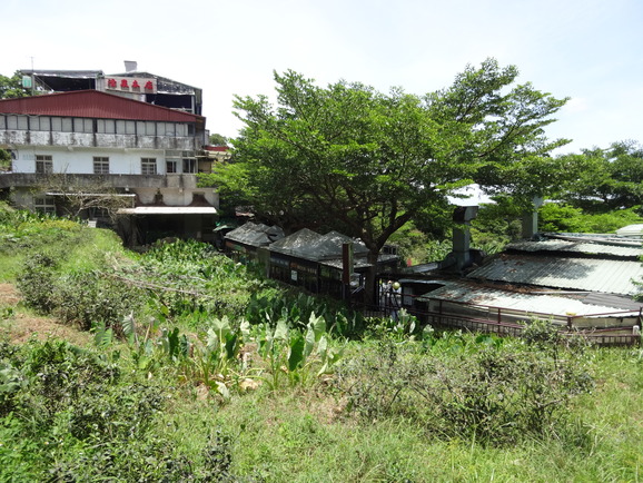 d0219834_532260.jpg